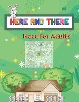 Here And There maze for adults