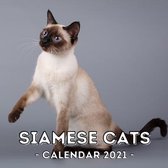 Siamese Cats