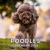 Poodles Calendar