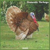 Domestic Turkeys 2021 Wall Calendar
