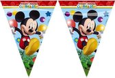 Vlaggenlijn Mickey Mouse - Vrolijke vlaggenlijn met Mickey Mouse. De vlaggenlijn is 2,3m lang. De vlaggetjes hebben een lengte van 30cm en zijn aan één kant beprint.