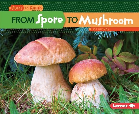 Start to Finish, Second Series - From Spore to Mushroom