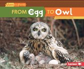 Start to Finish, Second Series - From Egg to Owl