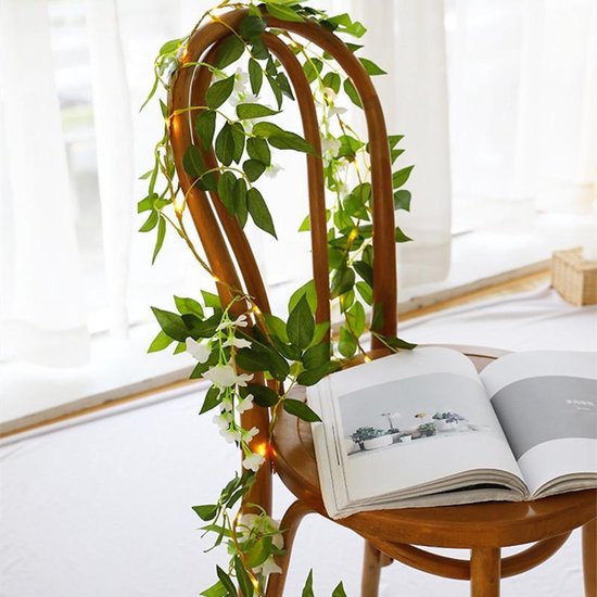 Glycine String Light Wit 2 mètres