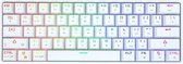 DK61 - 60% Mechanisch Gaming Toetsenbord - Blue Switches - USB - Bluetooth - Mechanical Gaming Keyboard - Wit