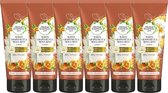 Herbal Essences Pure Pamplemousse Blanc & Menthe Crèmespoeling Voordeelverpakking - 6 x 200 ml