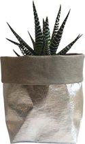 de Zaktus - Haworthia Big Band - vetplant - paper bag forest/groen - Maat M