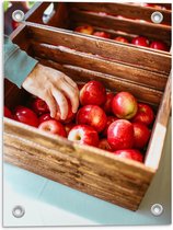 Tuinposter – Rode Appels in Krat - 30x40cm Foto op Tuinposter  (wanddecoratie voor buiten en binnen)