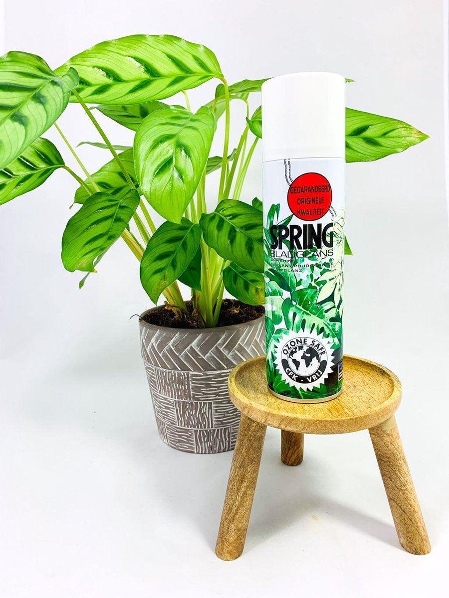 Spring bladglans 250ml