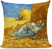 Kussenhoes Vincent van Gogh schilderij 12