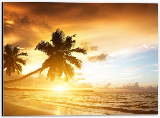 Dibond - Palmboom met Ondergaande Zon aan het Strand  - 40x30cm Foto op Aluminium (Met Ophangsysteem)