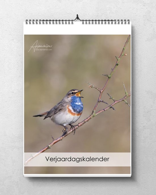 Blauwe borst zingt met open snavel, zittend op een tak met doornen.