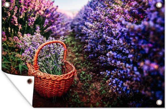 Panier entre grands buissons de fleurs 90x60 cm