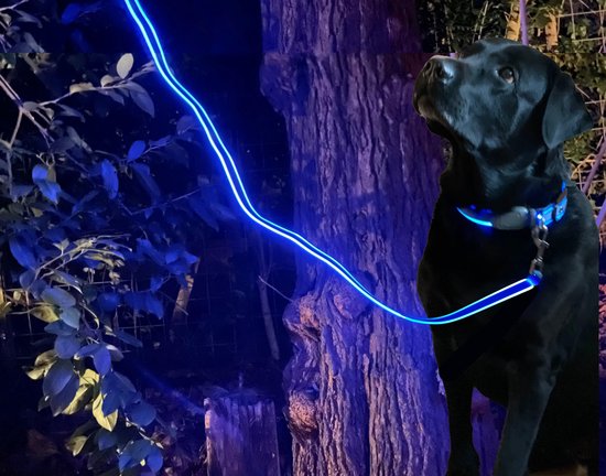 verkenner je bent Rendezvous Night Dog Lichtgevende LED Hondenriem Blauw Oplaadbare Veiligheidsriem High  Quality... | bol.com