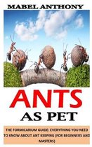 Ants as Pet: The Formicarium Guide