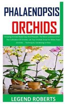 Phalaenopsis Orchids