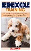 Bernedoodle Training: The complete guides about this breed