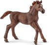 foto van Schleich 13857 Engelse Volbloed Veulen