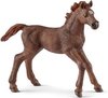 Schleich 13857 Engelse Volbloed Veulen