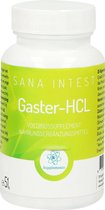 RP Supplements Gaster-HCL - 120 capsules