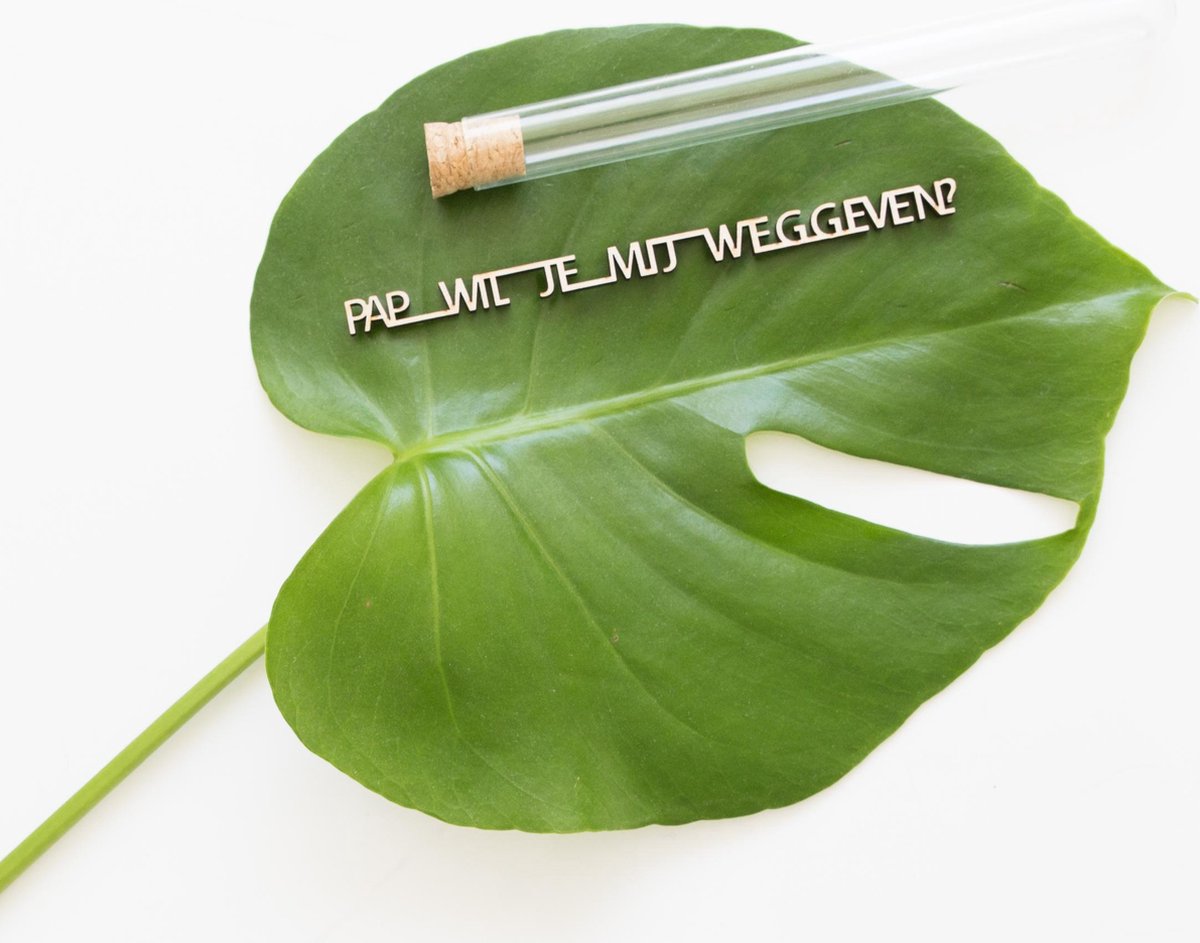 Message in a bottle - Pap wil je mij weggeven? - Trouwen - Bruiloft - originele vraag - Minimalistisch - Vader weggeven