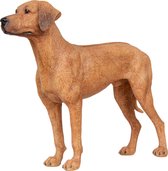 Hond Ridgeback, hondenbeeldje , figuur