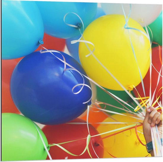 Dibond - Gekleurde Ballonnen aan Wit Touw - Foto op Aluminium (Wanddecoratie van metaal)