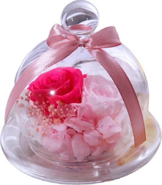 Cadeau De La Saint Valentin Pour Femme Fleur De Rose Preservee A L Infini En Verre Bol Com