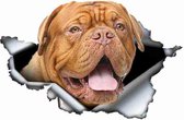 Bordeaux Hond 3D Sticker-voor Auto-Muur-Boot ect