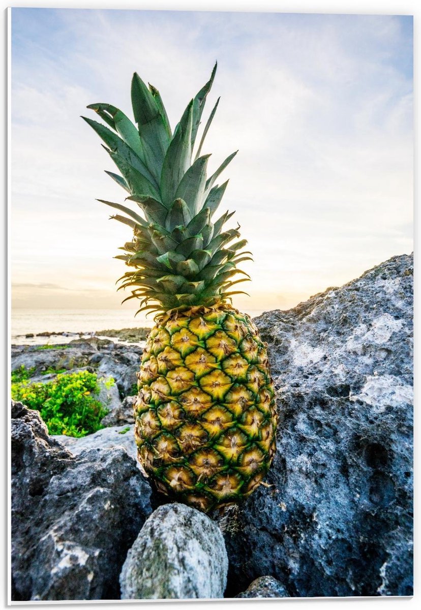 Forex - Gele Ananas op Rotsen - 40x60cm Foto op Forex