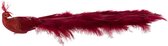 J-Line Pauw Toe Staart Veren Bordeaux