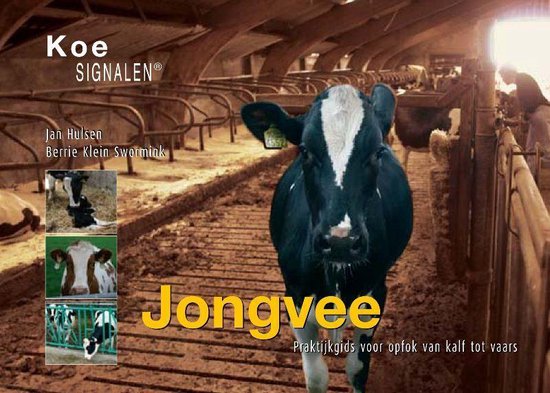 Koesignalen - Jongvee - cover