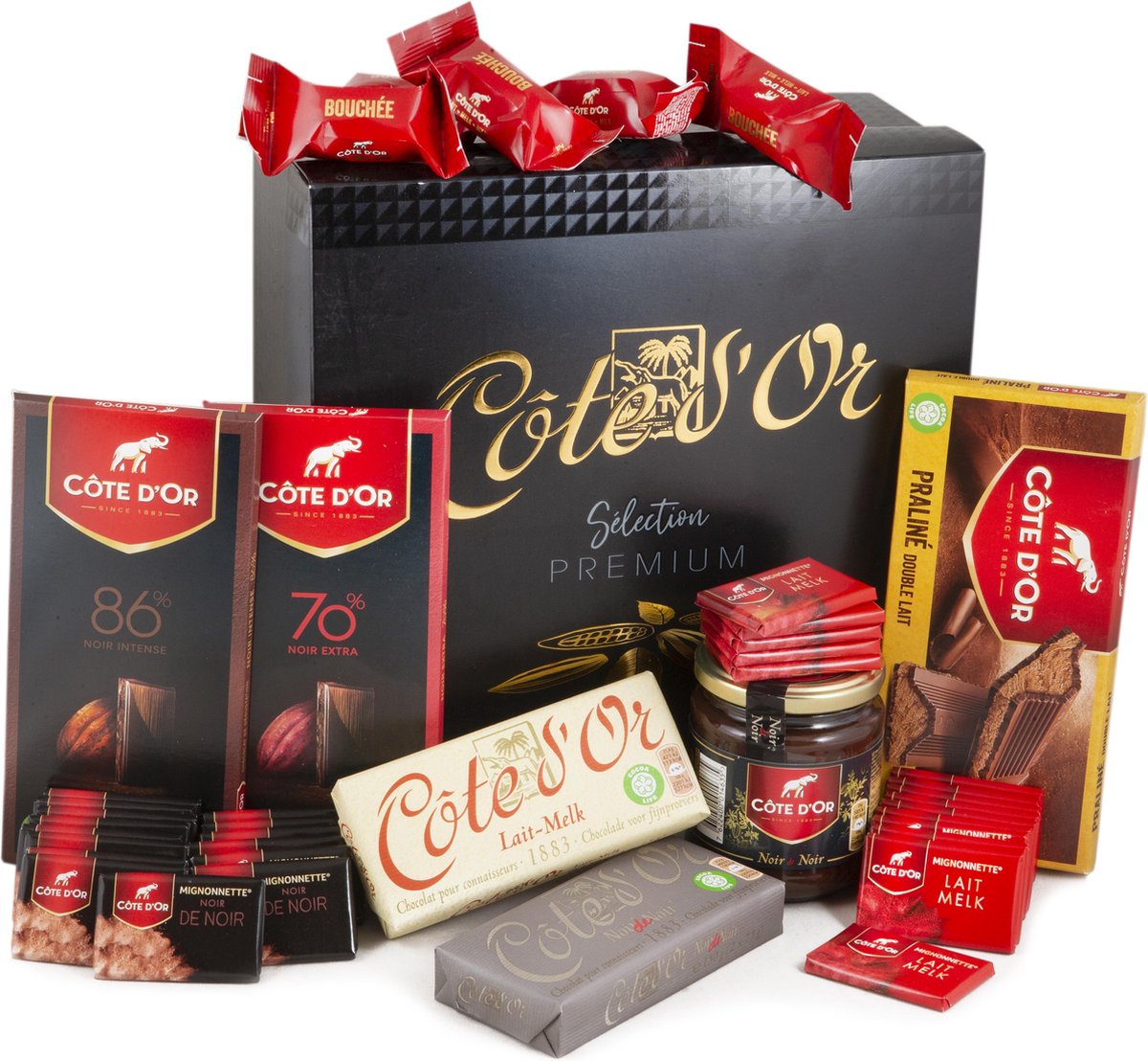 Côte d'Or Chocolade Cadeau - Grote Luxe Geschenkverpakking 41 Producten - Côte d'Or