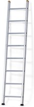 Castrex Easypro Enkele Ladder10 sporten