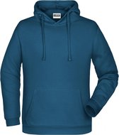 James And Nicholson Heren Basis Hoodie (Benzine)