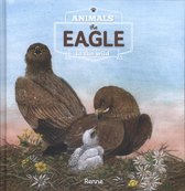Animals in the Wild  -   The Eagle