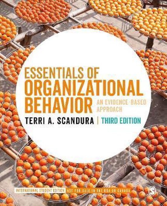 Essentials of organizational behavior international student edition