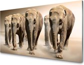 Glasschilderij Elephant group | 120 X 80 CM | 4 mm gehard glas | Incl. Blind ophangsysteem | Moderne glazen schilderij