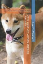 Como Lidiar Con Un Perro Shiba Inu Hiperactivo