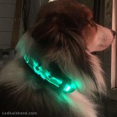 Groene leger print LED halsband maat L voor je hond | Verlichte halsband voor honden | Verkrijgbaar in S t/m XL en in meerdere kleuren | LED hals band | LED hondenriem | LED honden