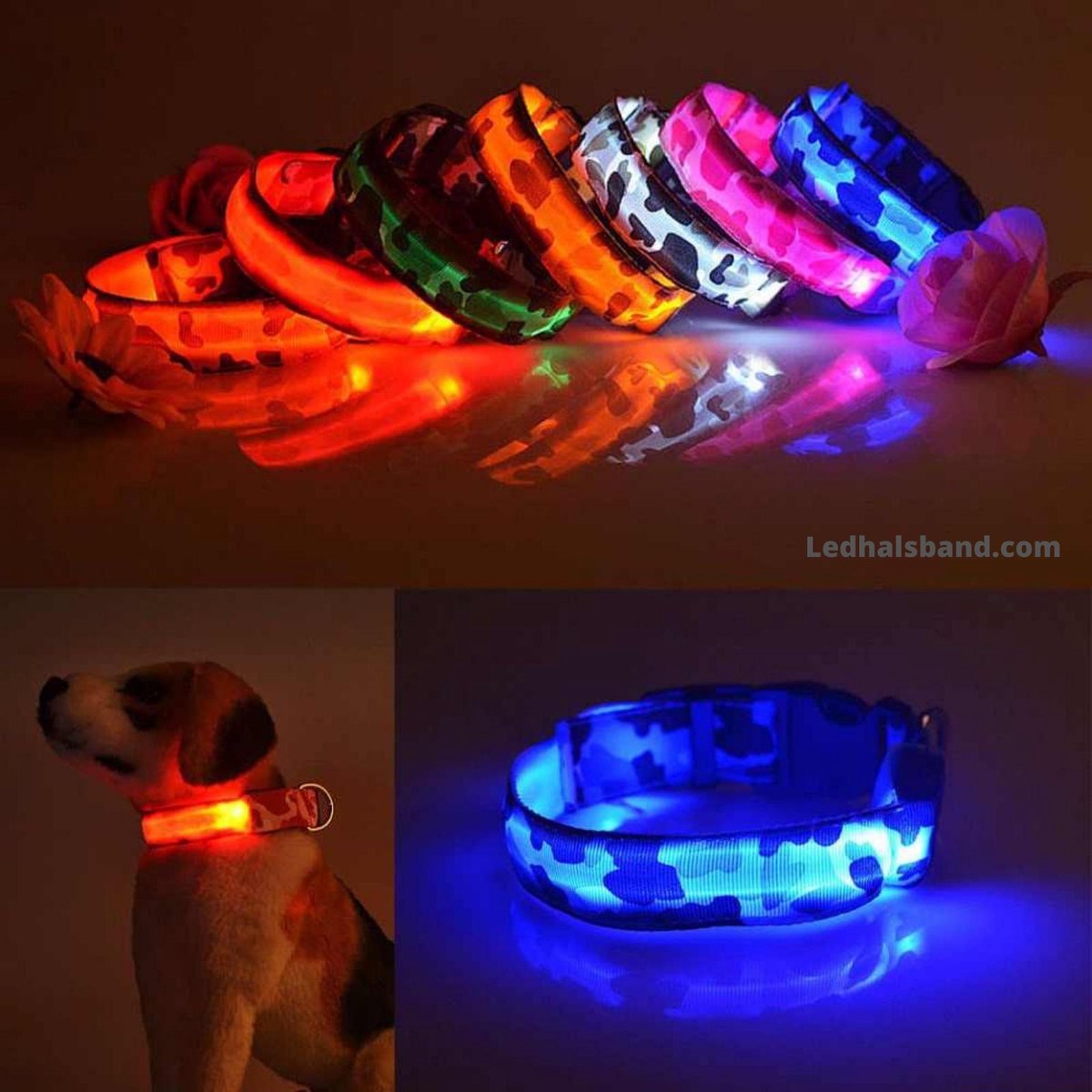 Hondenhalsband licht, 50LM hondenverlichting voor