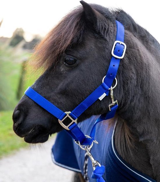 G- Horse, Licol avec corde, Shetland, Bleu