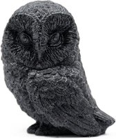 Sculpture en shungite hibou pressé