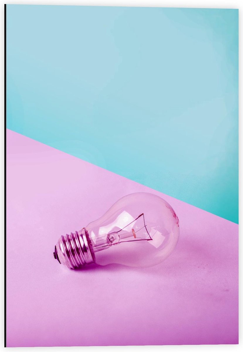 Dibond - Gloeilamp Roze/Blauwe Achtergrond - 40x60cm Foto op Aluminium (Wanddecoratie van