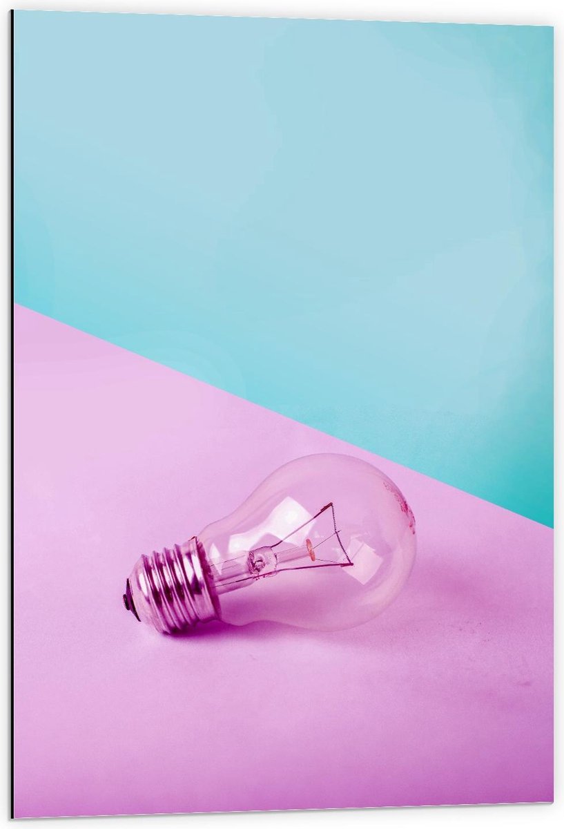 Dibond - Gloeilamp Roze/Blauwe Achtergrond - 60x90cm Foto op Aluminium (Wanddecoratie van