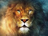 Riqueza Diamond Painting 5D - Leeuw , Lion - 30X40 Volledig Diamant Schilderen Hobby ,  Leeuw , Lion , Pixel en Pixelpakket DiamondPainting