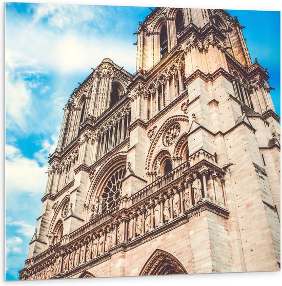 Forex - Notre-Dame van Parijs - Frankrijk - 100x100cm Foto op Forex