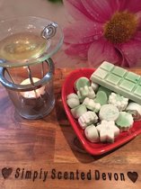 Neroli Portofino - Onze waxmelts zijn geïnspireerd door bekende parfumgeuren. - Gemiddelde levertijd 2 a 3 dagen! - Waxmelts – Geurchips - Wax Melts - Snap Bar – Waxmelts parfum ge