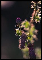 Poster Akkerdistels - 30x40 cm - Natuur Poster - WALLLL