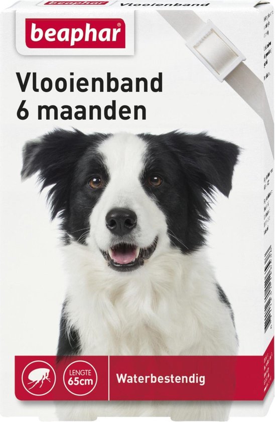 Beaphar vlooienband wit - 1 st